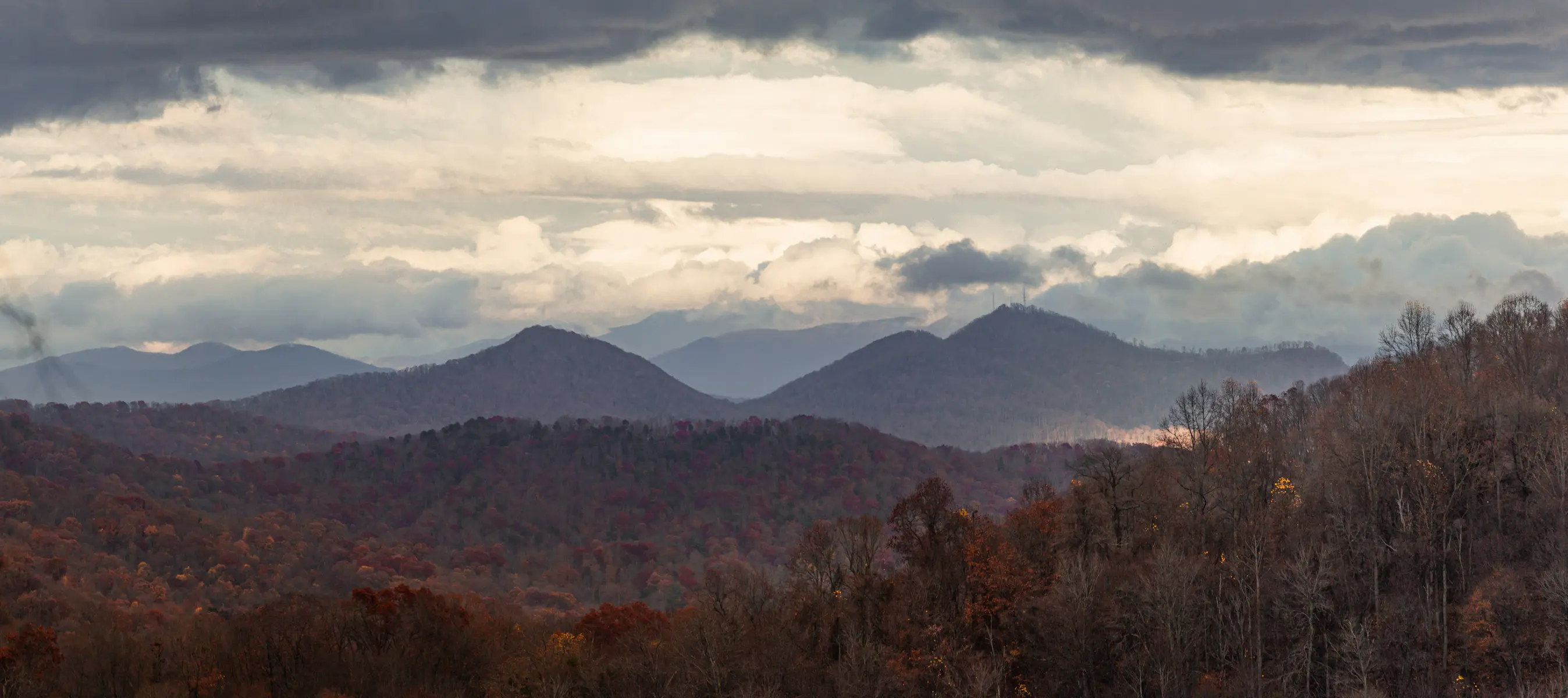 Autumnal Vestiges in Appalachia  
Near Ashevill, NC  
Early November 2022
---
